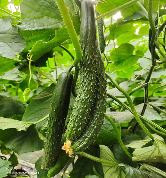 用户反馈